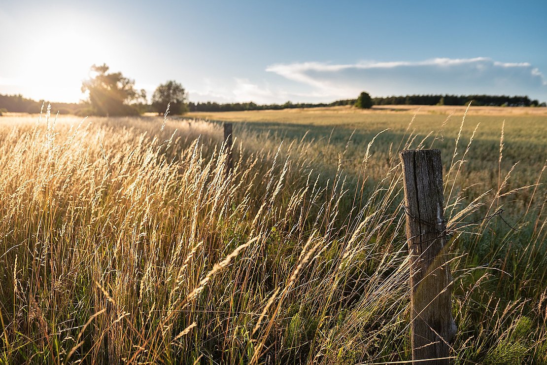 rural landscape on a sunny day