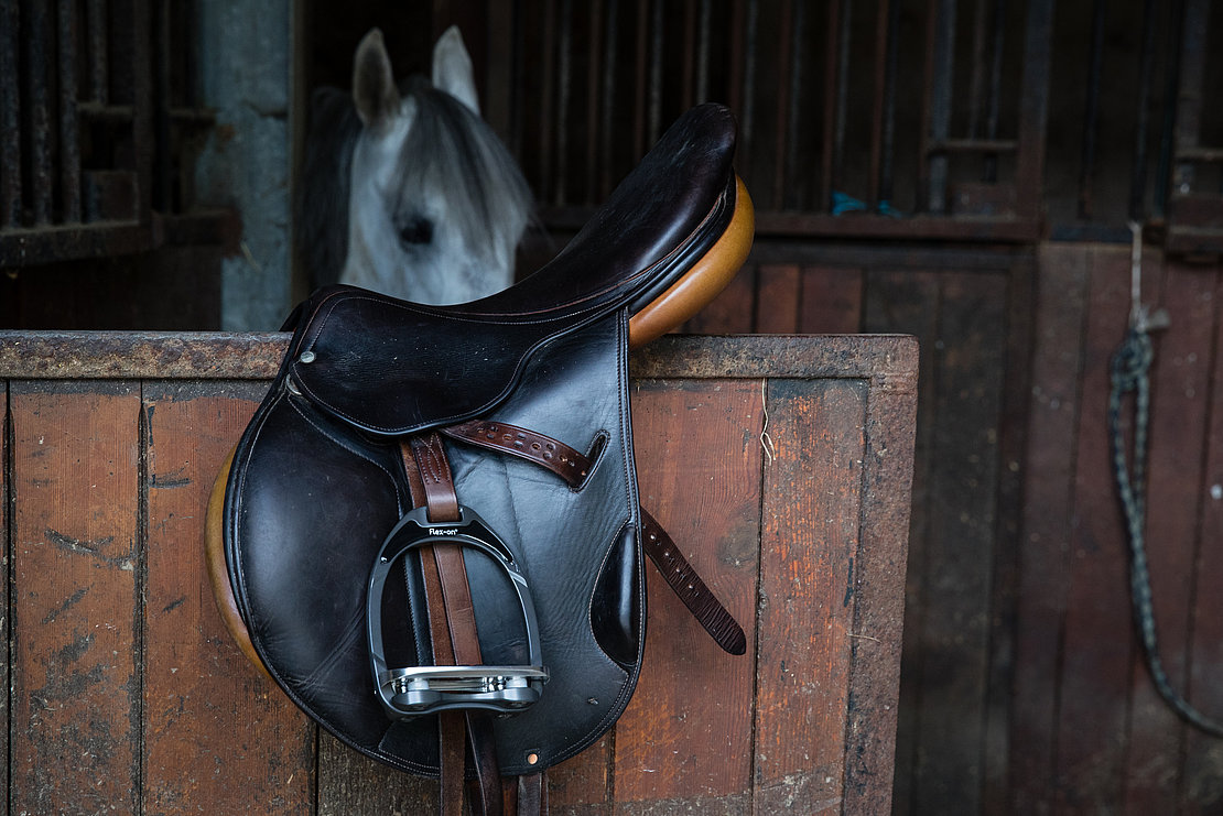 Flex-On est spécialisée dans la conception, le développement et la commercialisation d’équipements innovant pour les cavaliers d’équitation © Archive LPA