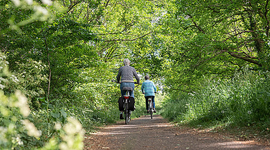 women on bicycle on narrow bike path through spring trees in the centre of holland