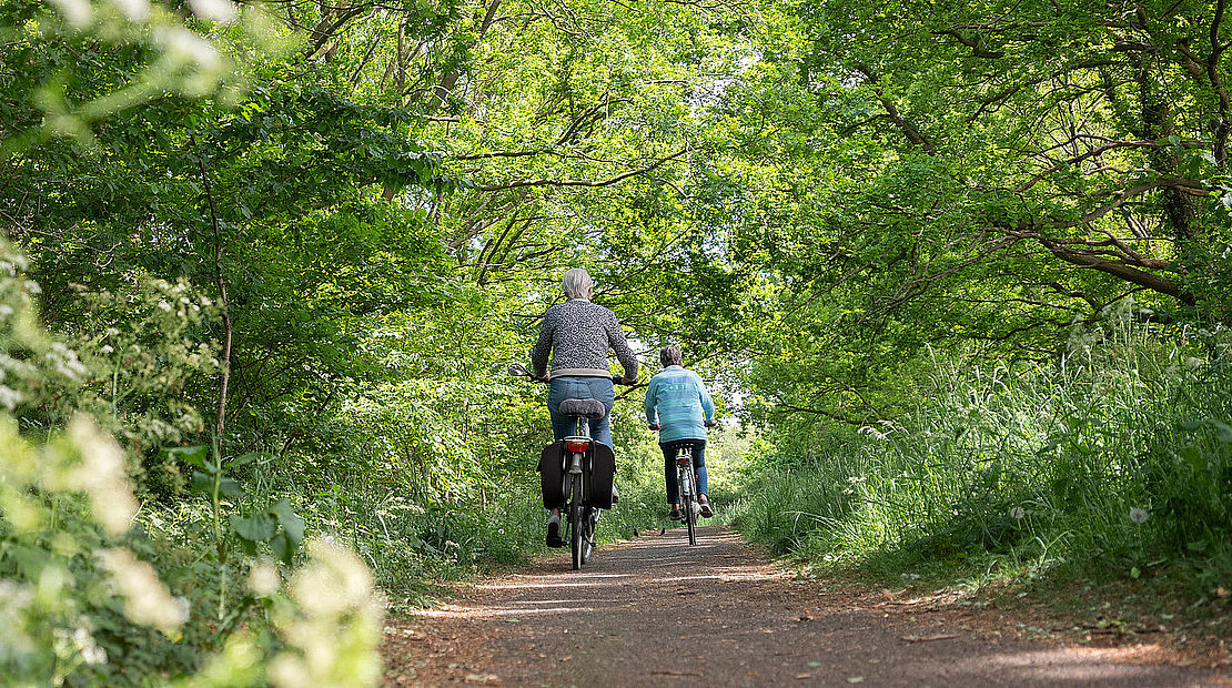 women on bicycle on narrow bike path through spring trees in the centre of holland