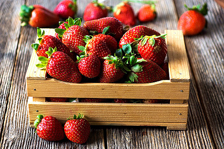 © Daniel Vincek - stock.adobe.com