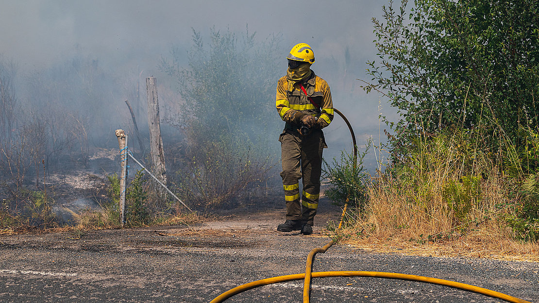 A firefighter in full gear working with a hose at a wildfire.