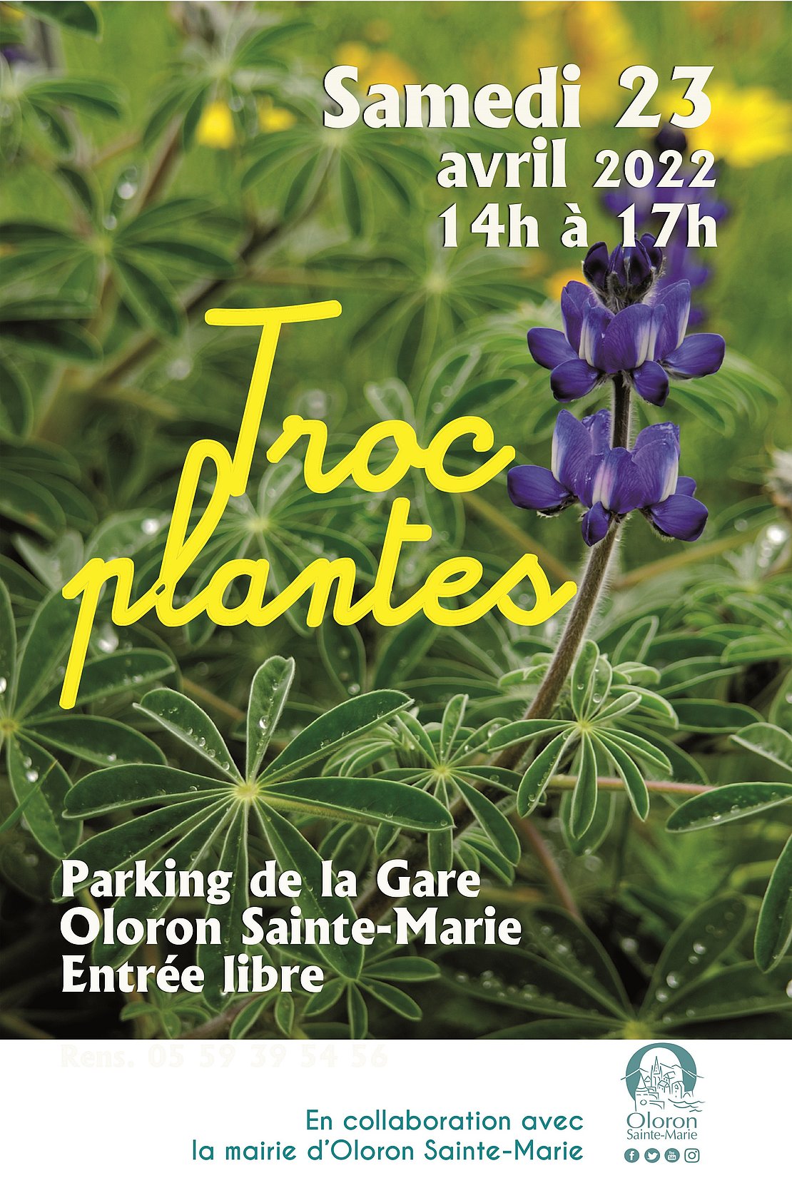 L'évènement Troc Plantes du printemps 2022 à Oloron Sainte-Marie