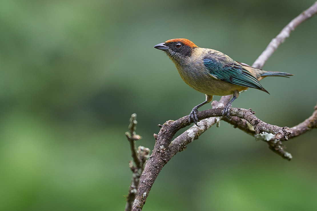 © J Esteban Berrio - stock.adobe.com