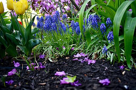 Atelier Jardin Zéro déchets à Poey-de-Lescar