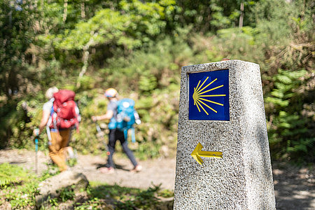 Pilgrims walking on their way to Santiago de Compostela. Camino de Santiago milestone sign on forest scene