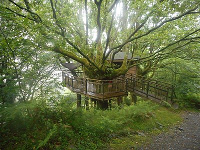 Les cabanes d'Itxassou vous invitent à l'évasion. © LPAPAPBB