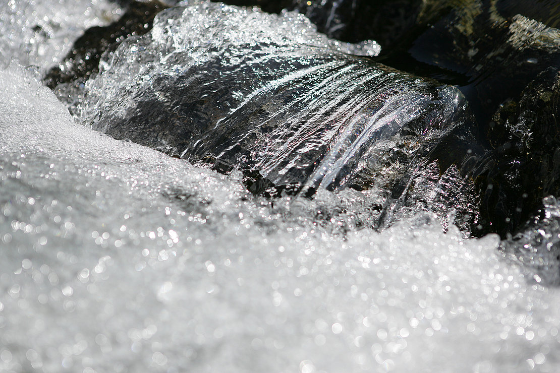 Pour éviter tout risque sanitaire, l’arrêté interdisant la pêche sur le cours d’eau du Laxia est prolongé jusqu’à la fin de l’année © DR