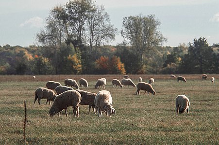 Deux évènements du monde agricole à ne pas manquer