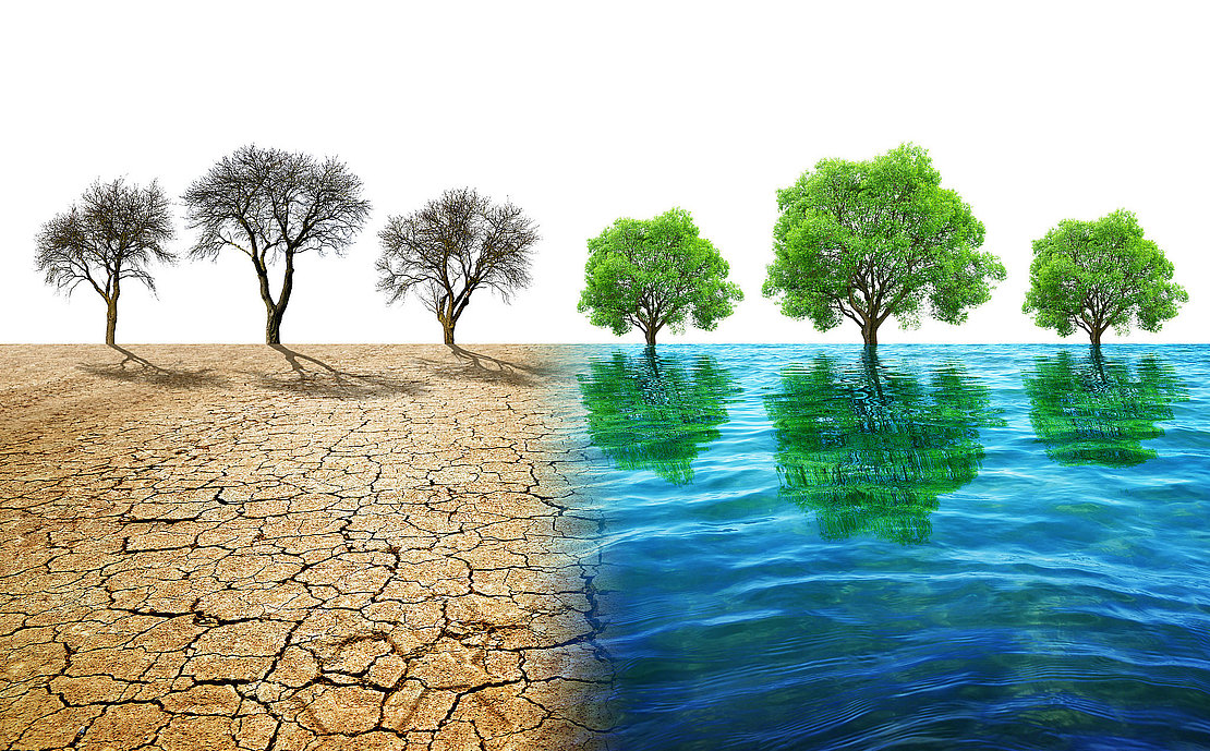 Dry country with cracked soil and water surface with trees. Concept of change climate or global warming.