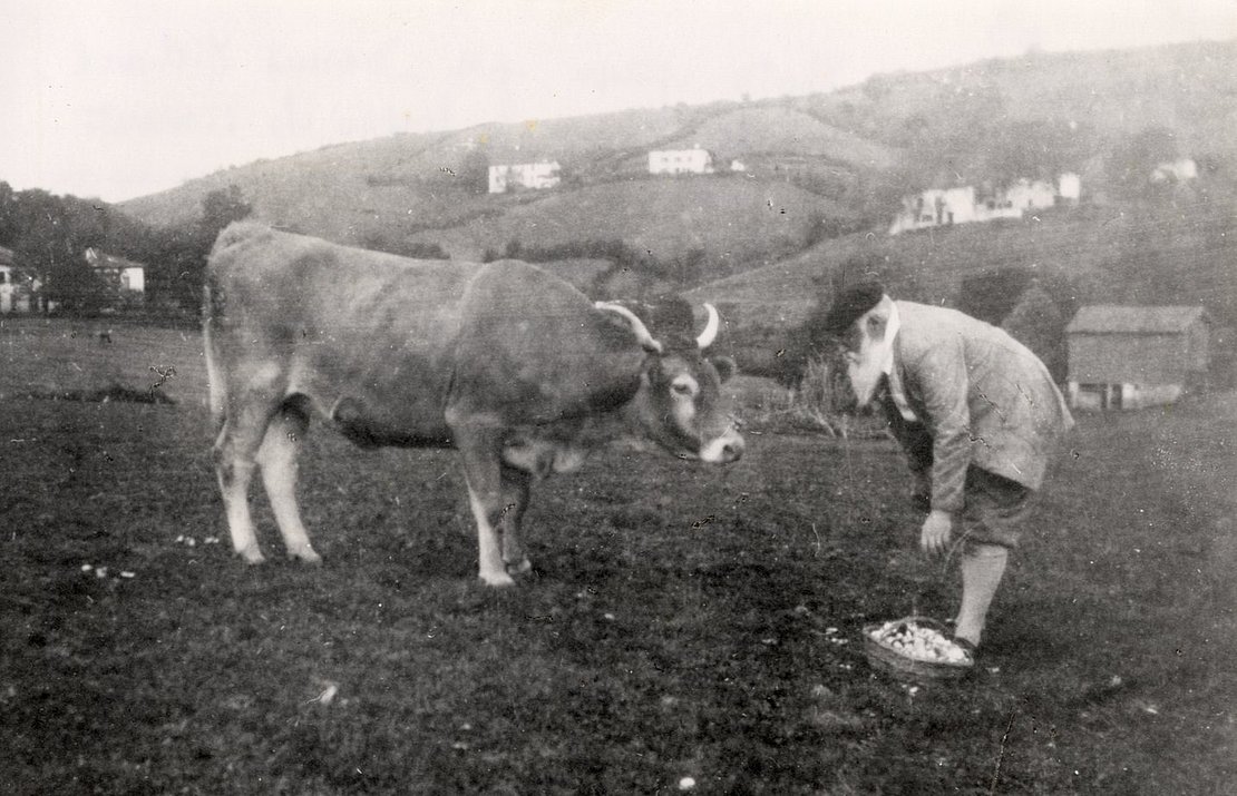 Francis Jammes © www.pireneas.fr/Archives et bibliothèques Pau Béarn Pyrénées