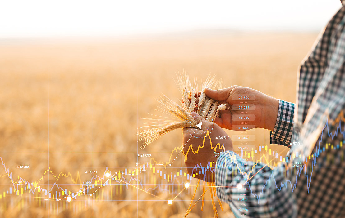 Le prix de la tonne de blé a augmenté de 180 % en 9 mois, passant de 200 € en juillet 2021 à 370 € à ce jour © Miha Creative - stock.adobe.com