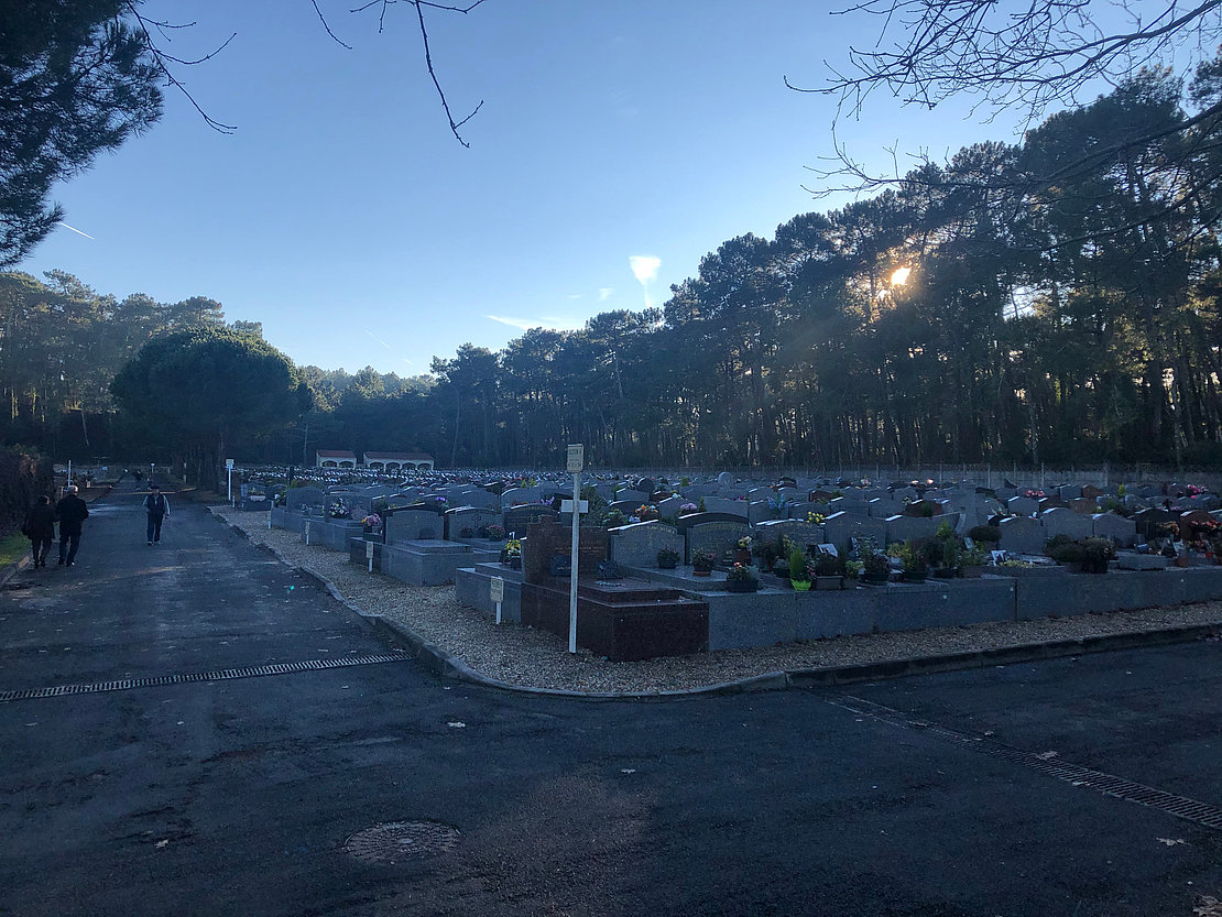 L’extension du cimetière se fera sur une surface de 8 000 mètres carrés, « soit 80 pins abattus », souligne Jean-Paul Gourgues © Myriam Zenini