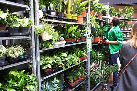 « Plantes pour tous » de retour à Pau