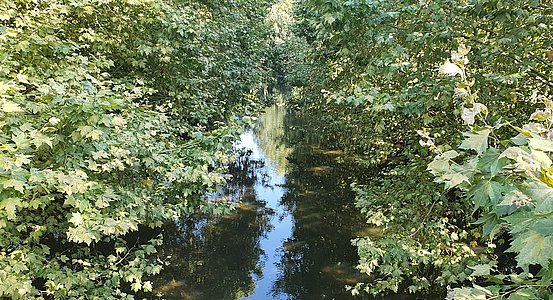 La Nivelle, Saint-Pée-sur-Nivelle