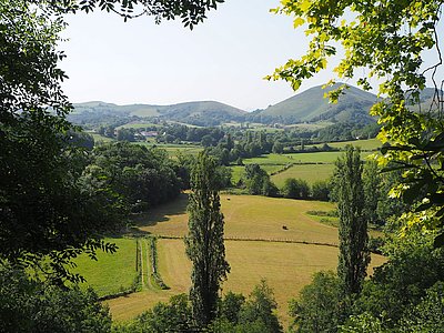 Alors que la côte a été en légère progression, c’est bien l’intérieur du Pays Basque qui a profité de ces augmentations @ Antoinette Paoli