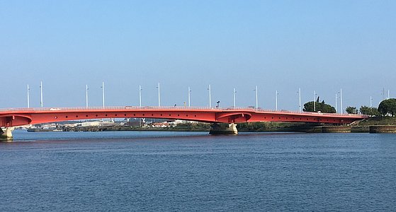 Le pont Henri-Grenet, Bayonne