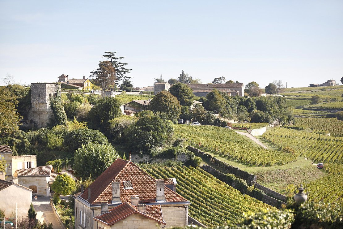 Vignoble et habitations, une cohabitation potentiellement dangereuse