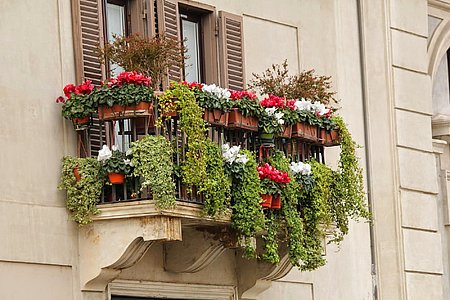 Concours Fleurir ma ville à Pau