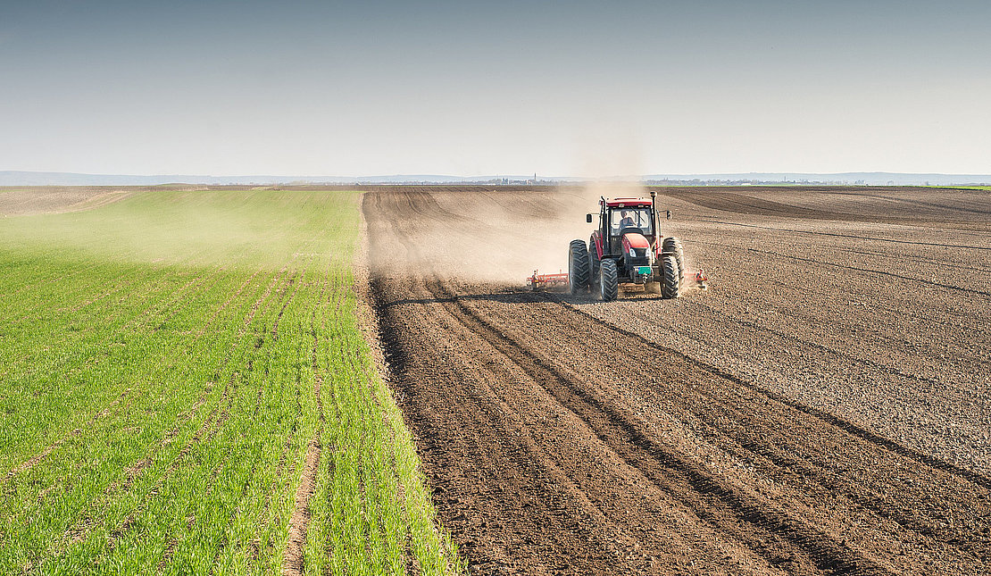 preparing land for sowing