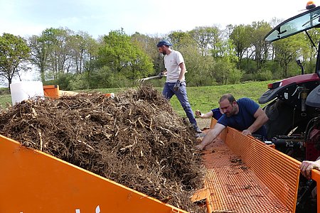 Le miscanthus est une culture qui allie productivité très élevée, jusqu’à 20 tonnes par hectare et par an, et culture écologique © Alexandra Delalande