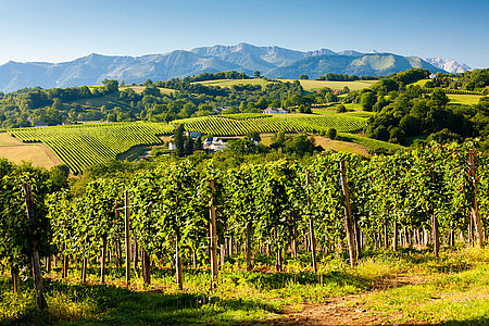 © Richard Semik - stock.adobe.com