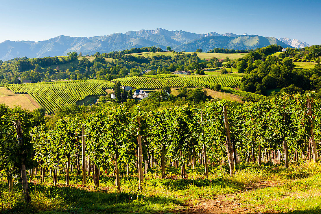 © Richard Semik - stock.adobe.com