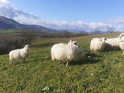 © Famille Elissalde 
