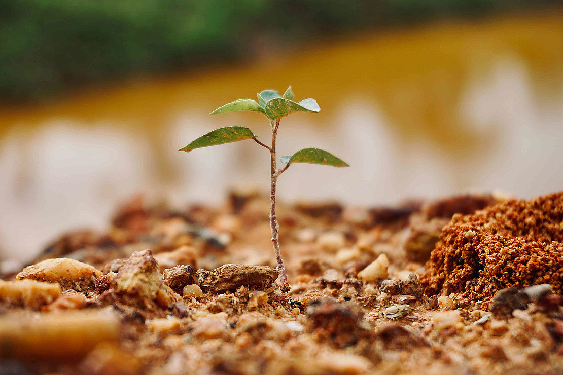 © Syahrin Seth  - unsplash
