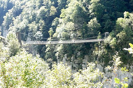 La passerelle d’Holzarté © Alexandra Delalande