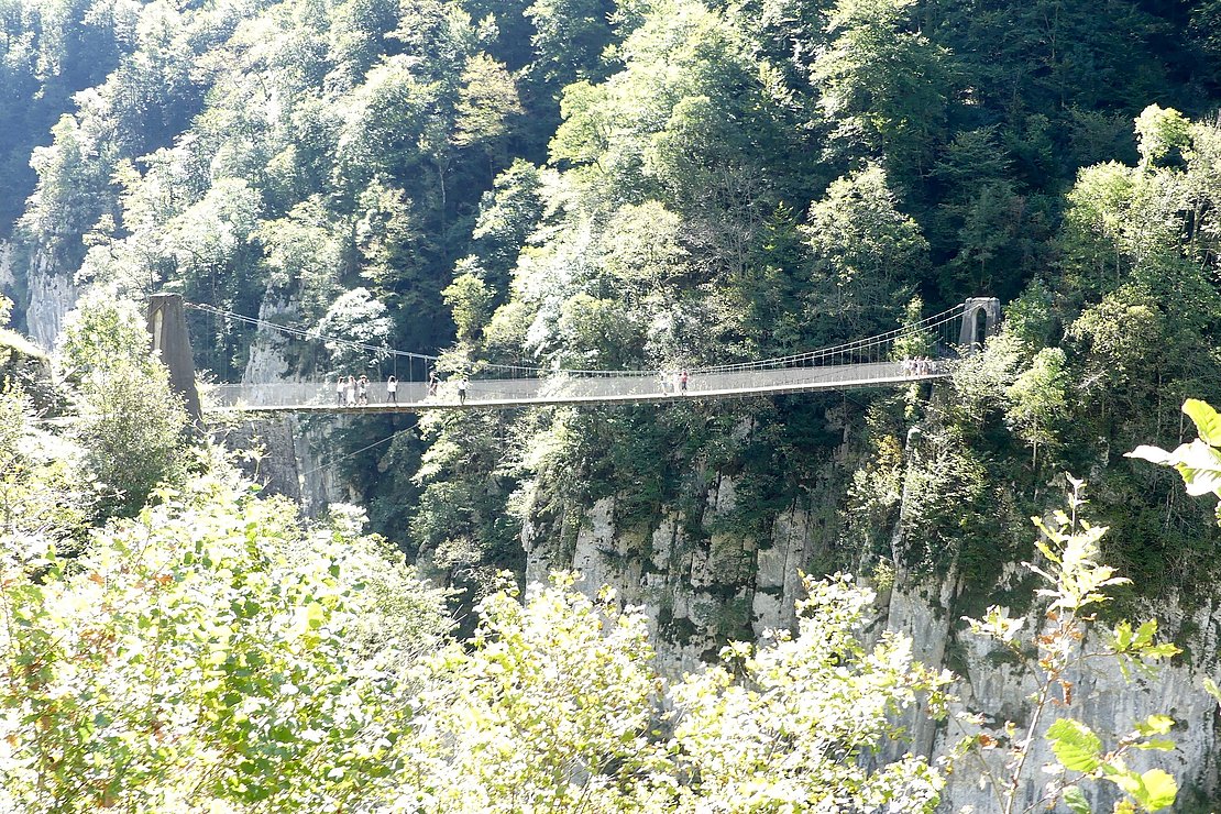 La passerelle d’Holzarté © Alexandra Delalande