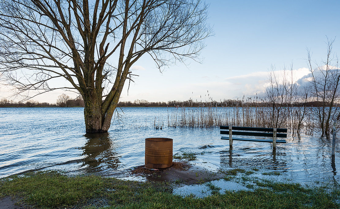 Flooded river banks in the winter season