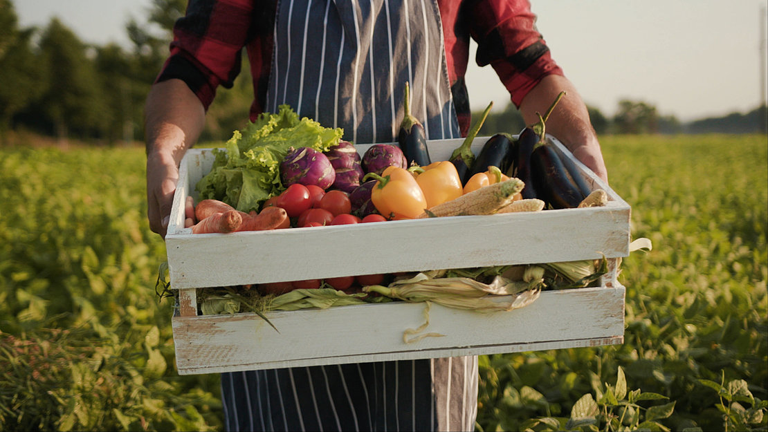 L’Office français sur la biodiversité, a souligné l’impact positif de l'agriculture biologique sur la biodiversité © america_stock - stock.adobe.com