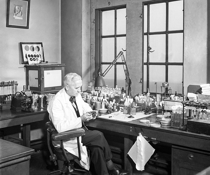 Portrait of scientist Alexander Fleming