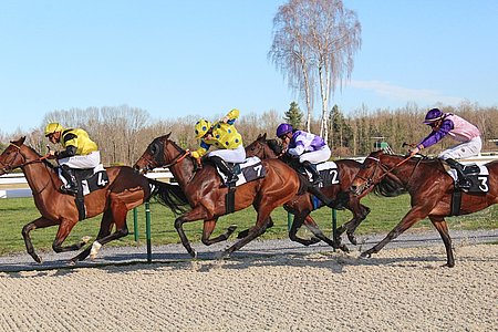 La nouvelle piste de l’hippodrome a bénéficié d’un investissement de 3,7 M€. © NM