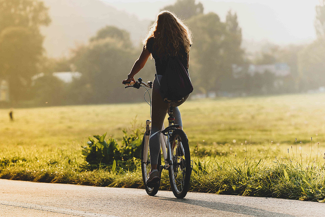 © katarzyna - stock-adobe.com