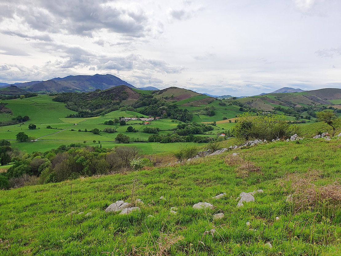 Le sentier d’Eltzarruze présente des paysages variés, tantôt sur les crêtes rocheuses, tantôt dans les bosquets de chênes, tantôt dans la prairie © MBP