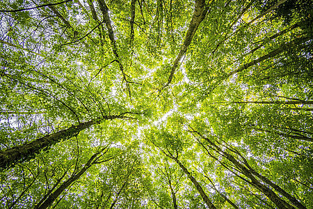 © Felix Mittermeier- Unsplash