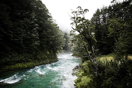Un programme d’aides aux agriculteurs pour la qualité de l’eau